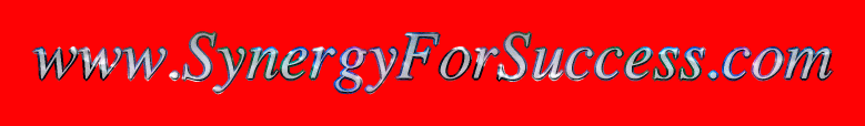 www.SynergyForSuccess.com-Internet Marketng Secrets Revealed-Top 20 Search Engine Secrets!